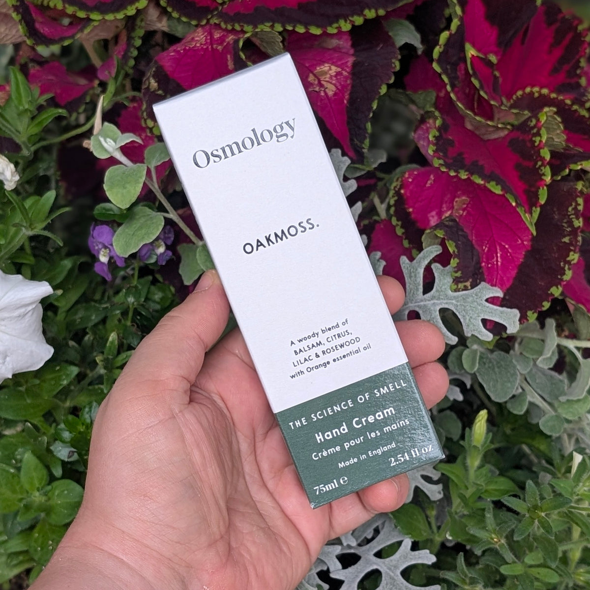 Oakmoss Hand Cream - Osmology by Aery