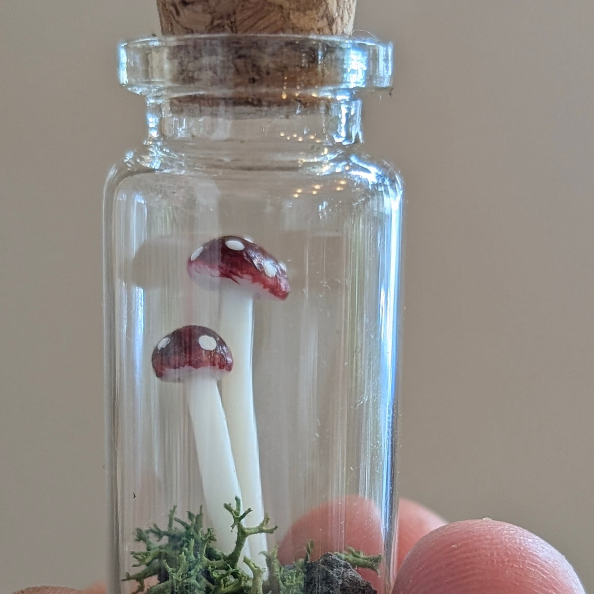 Mini Closed Mushroom Terrarium