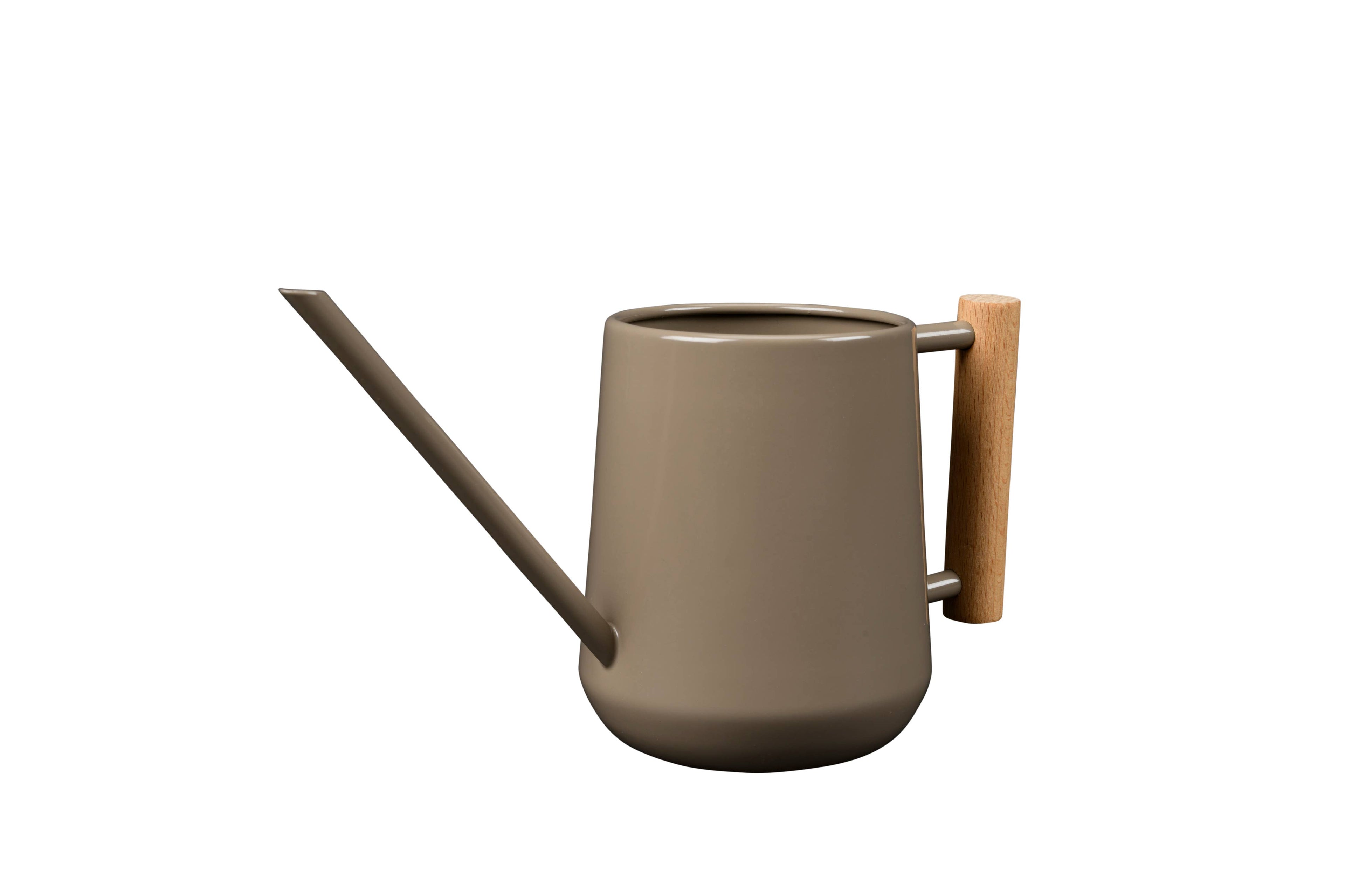 Small Indoor Watering Can
