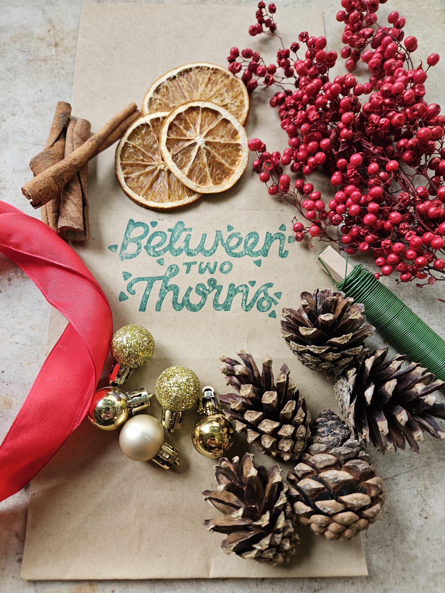 Diy christmas wreath kit!