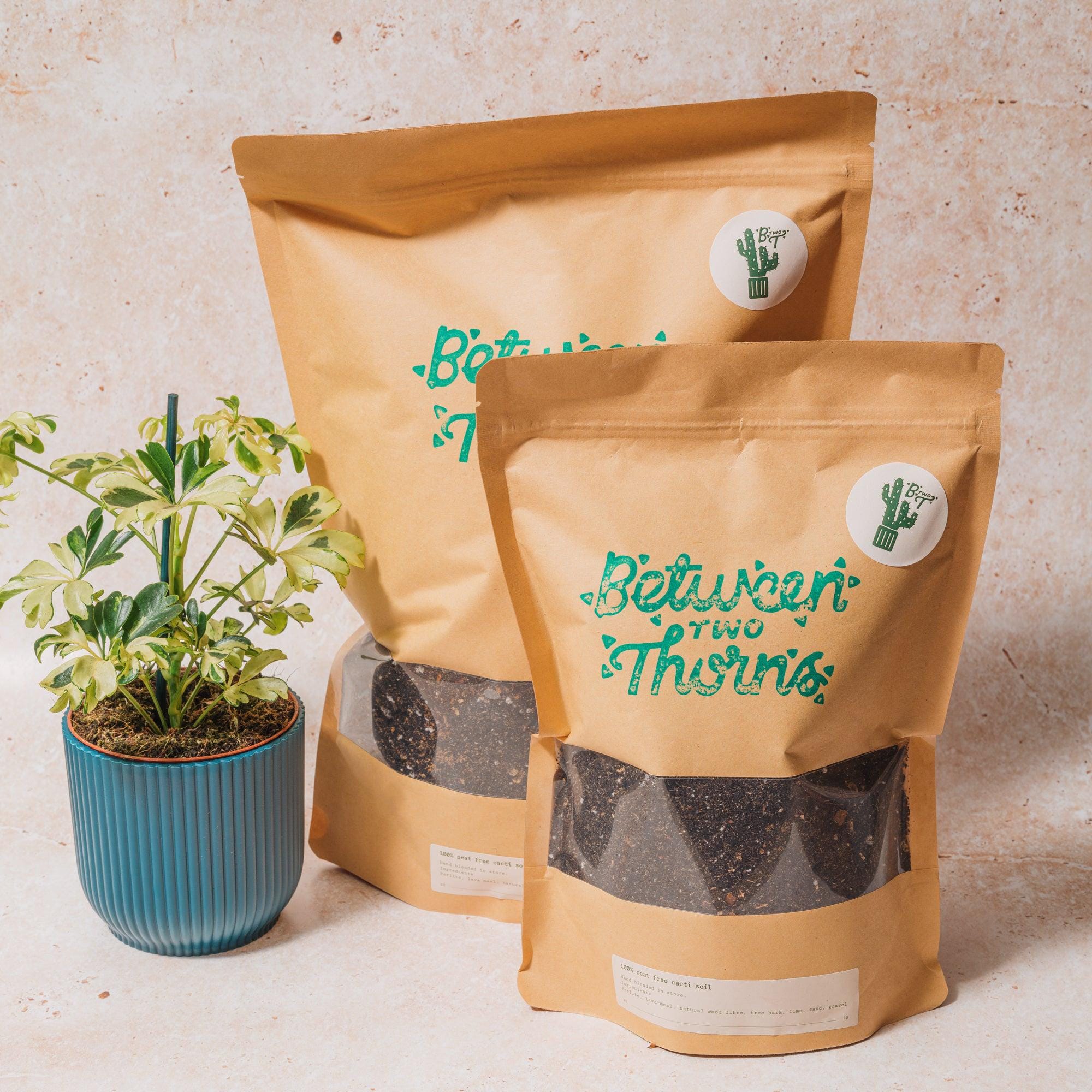 Cacti and Succulent Soil Mix