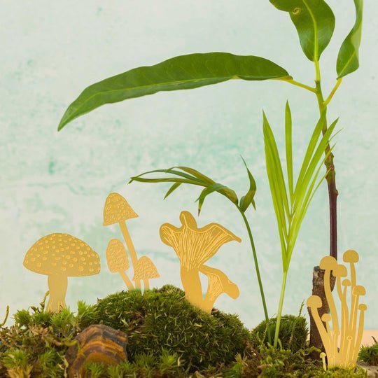 Mini Mushrooms - Another Studio