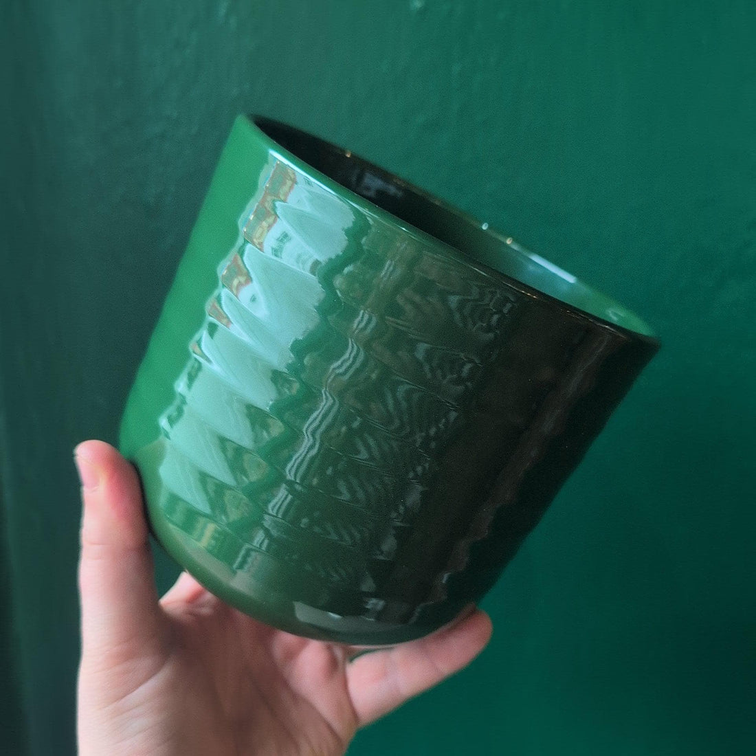 Ivyline Poinsettia Ripple Green Pot