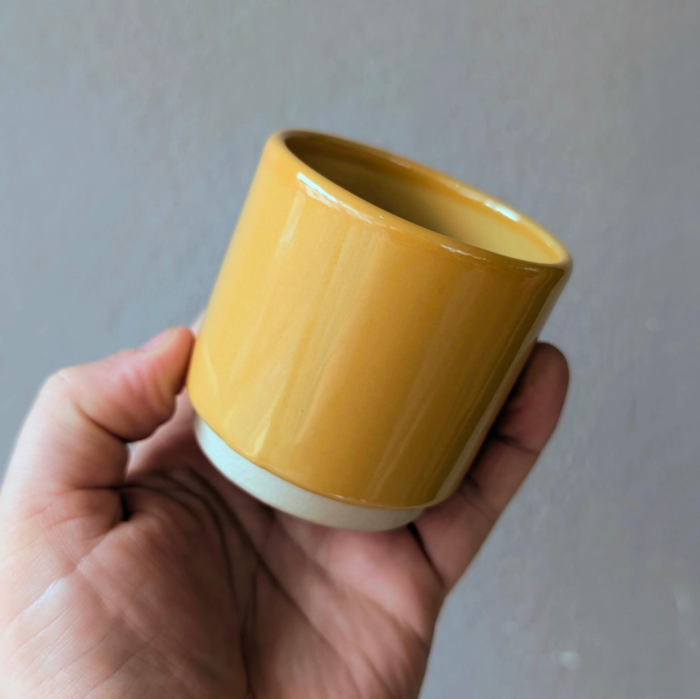 Ivyline Eno Ceramic Pots