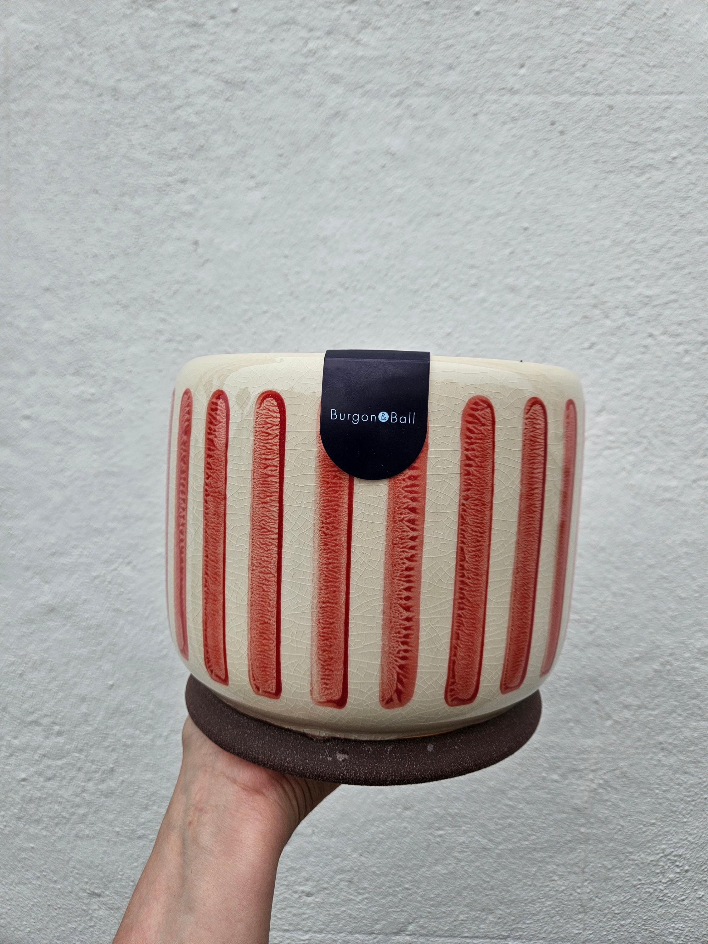 Striped Ceramic Pots (Available in 3 colours) -Various sizes available