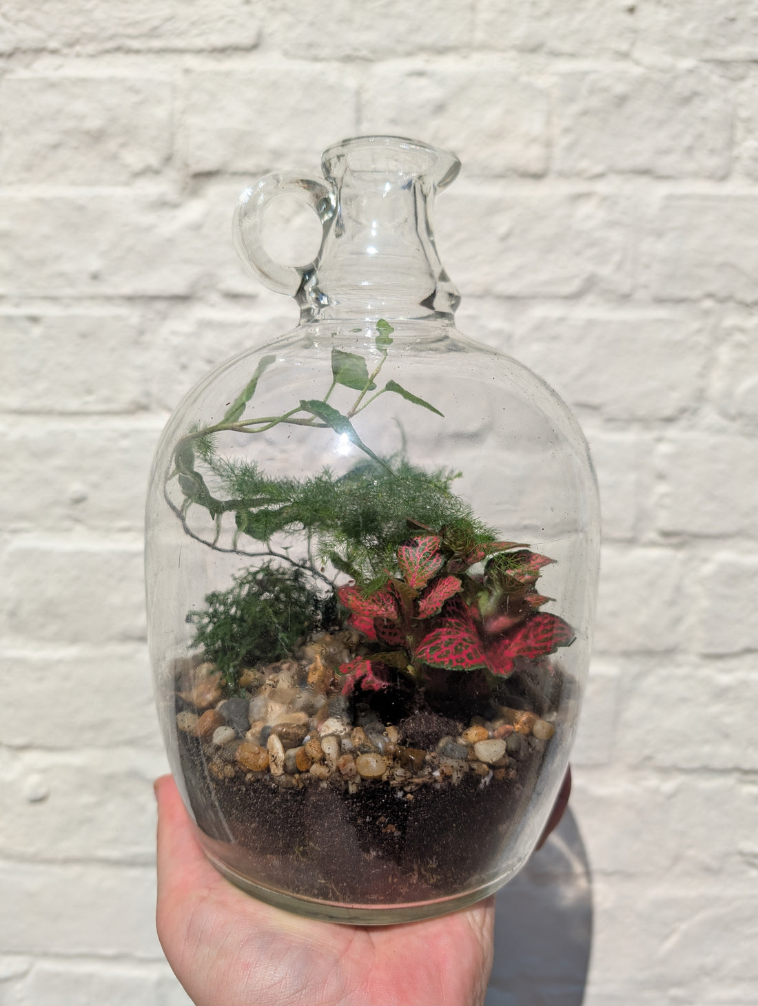 Glass Bottle with Handle Terrarium