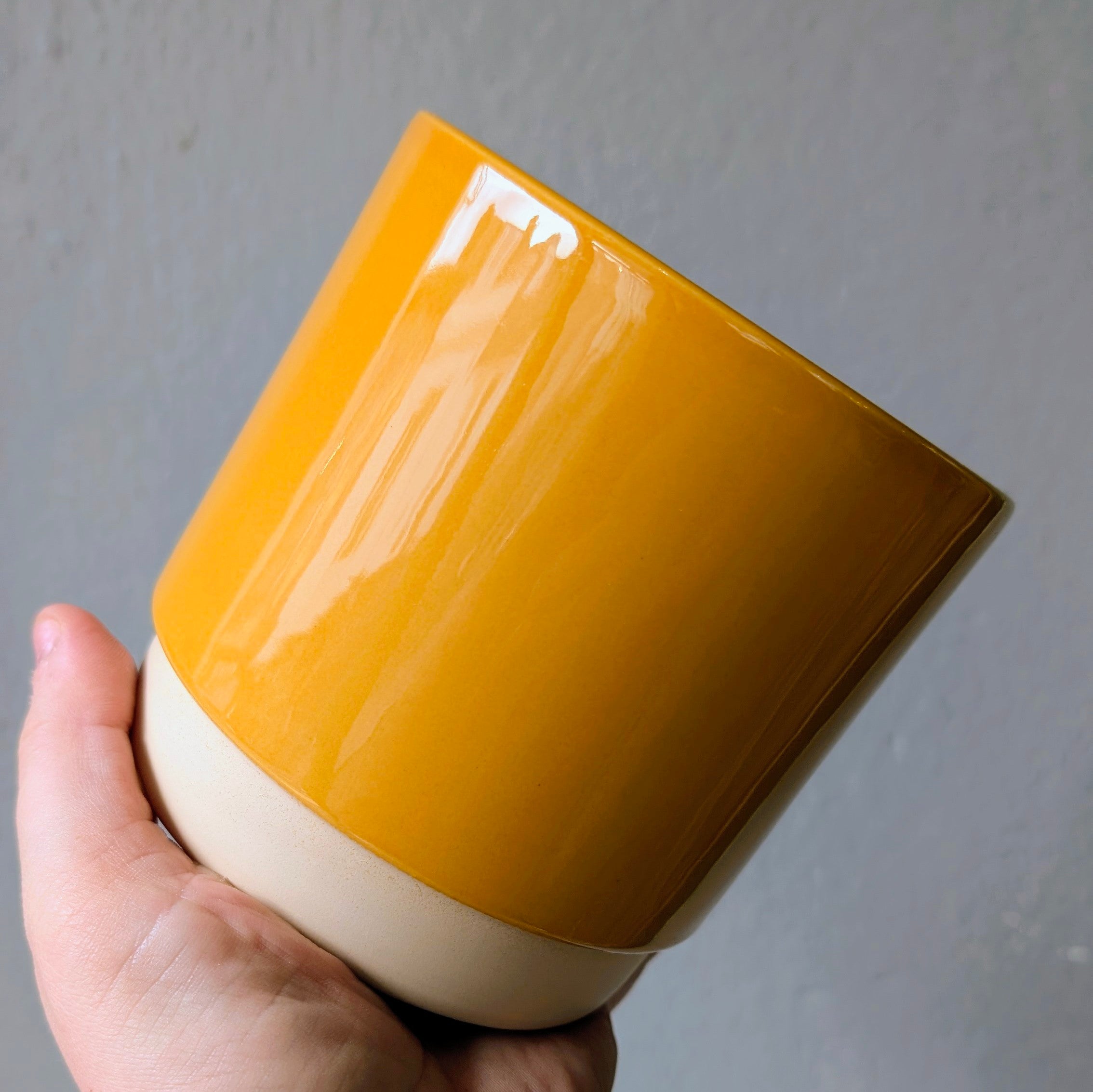 Ivyline Eno Ceramic Pots