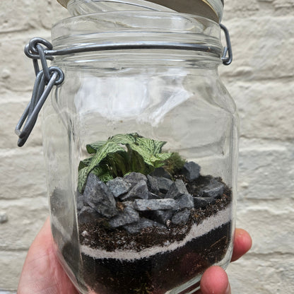 Kilner Jar Terrarium