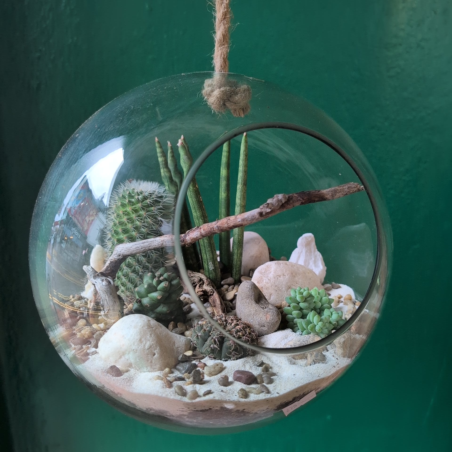 Large Hanging Globe Open Terrarium