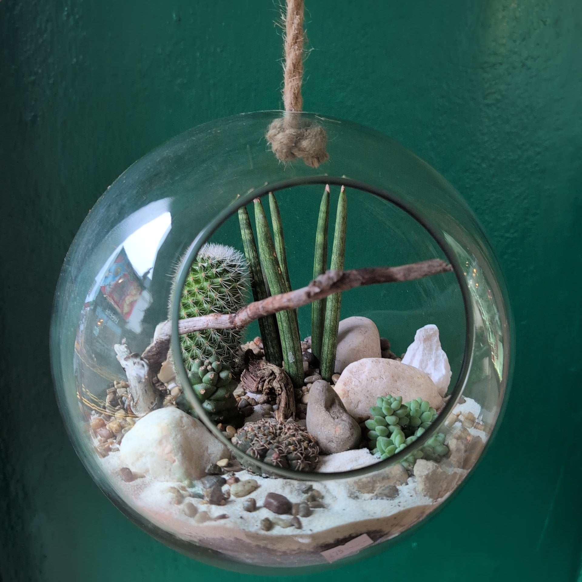 Large Hanging Globe Open Terrarium