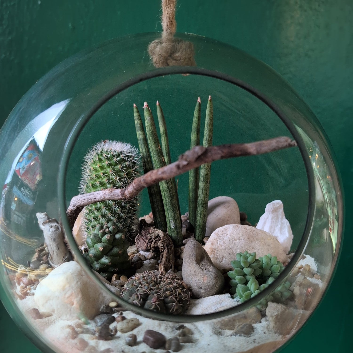 Large Hanging Globe Open Terrarium