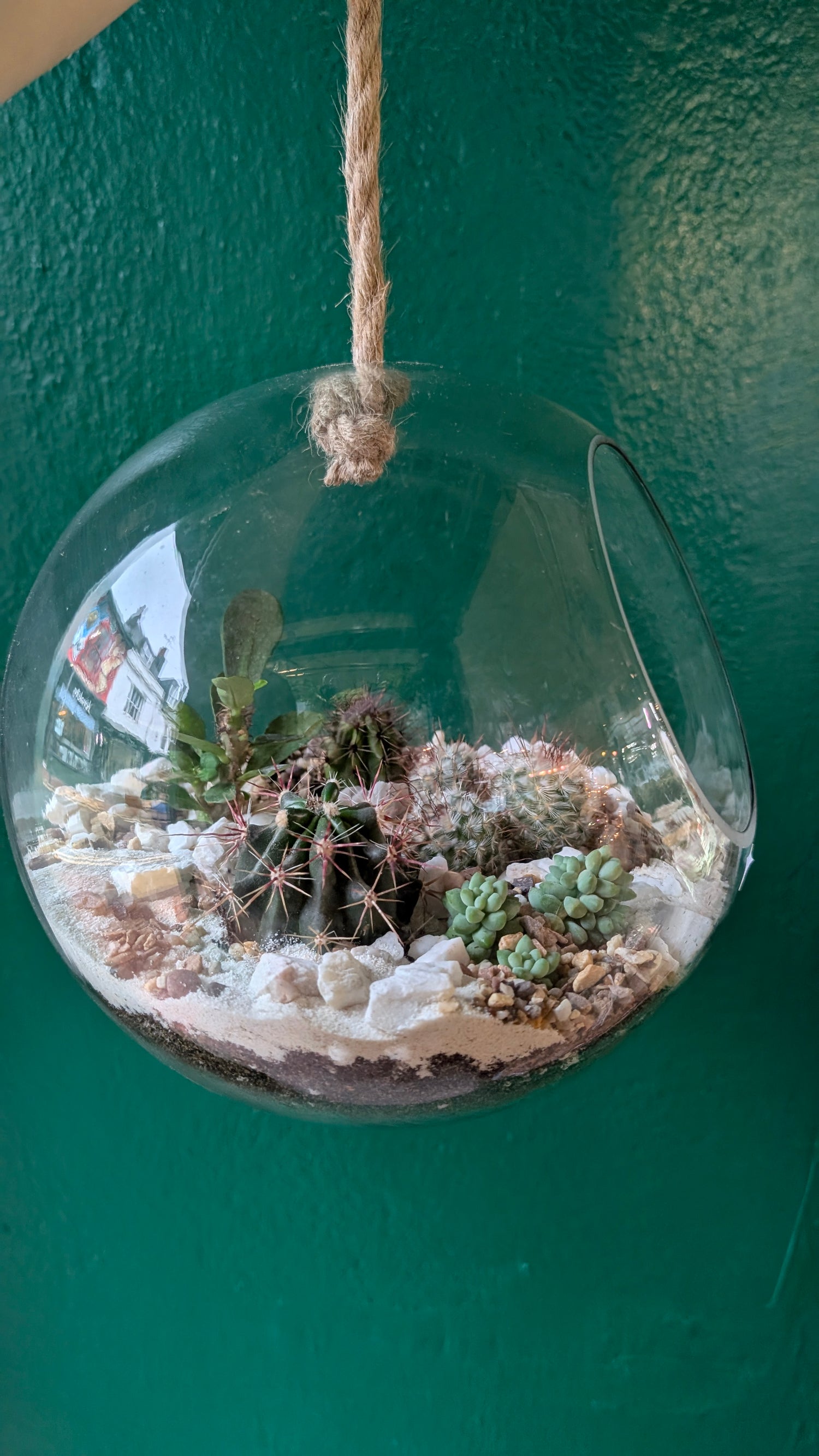 Large Hanging Globe Open Terrarium