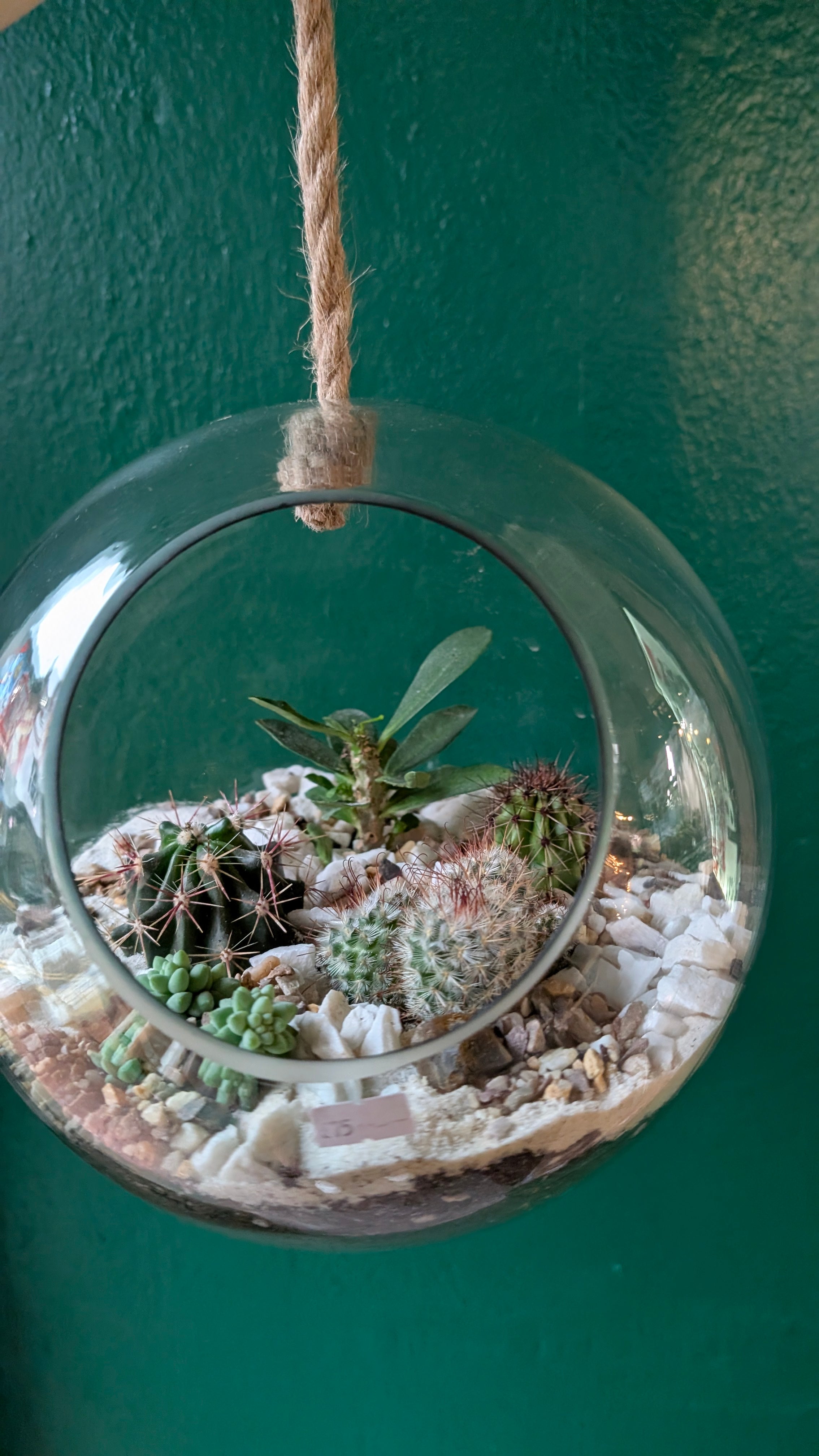 Large Hanging Globe Open Terrarium