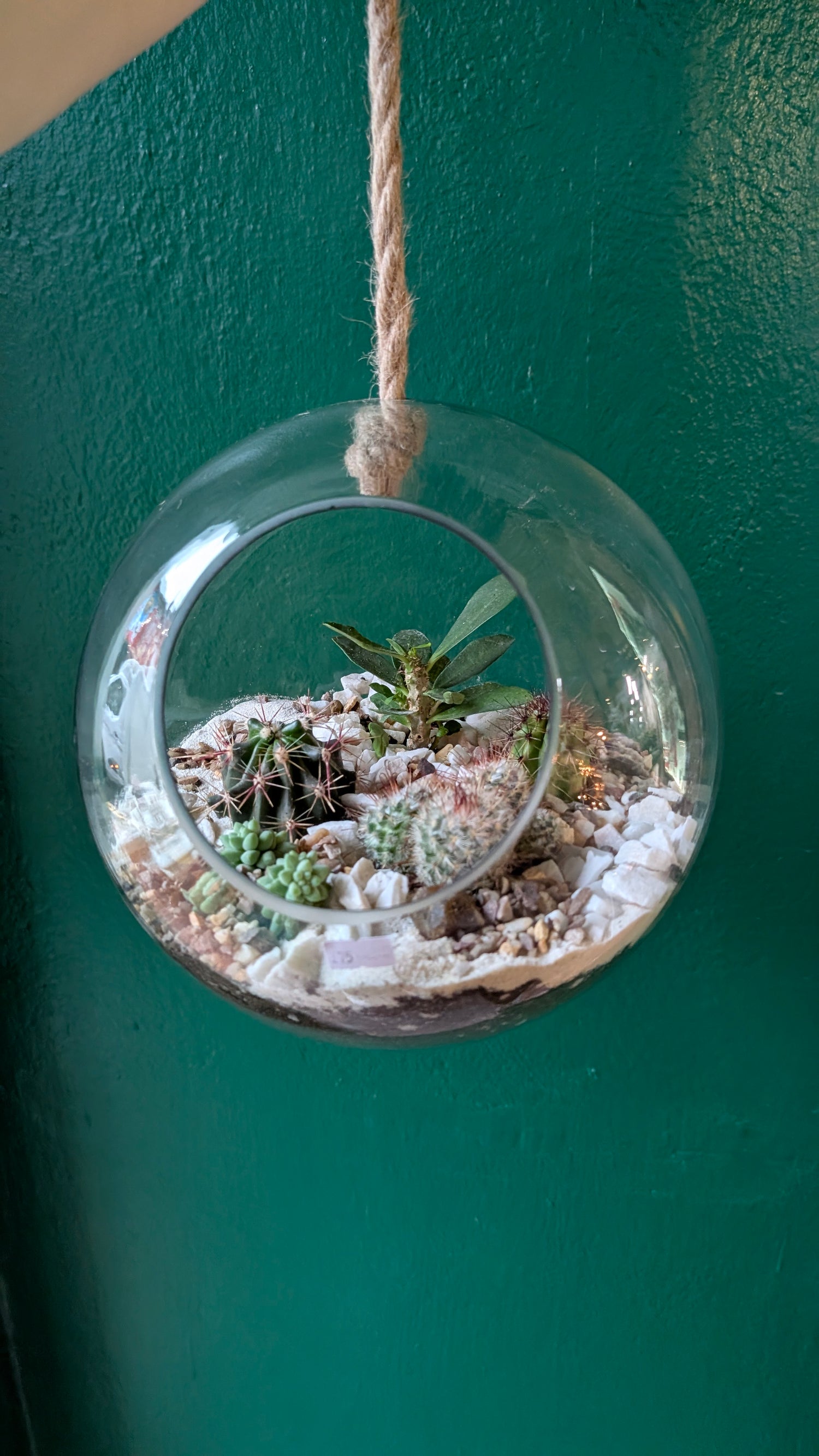Large Hanging Globe Open Terrarium