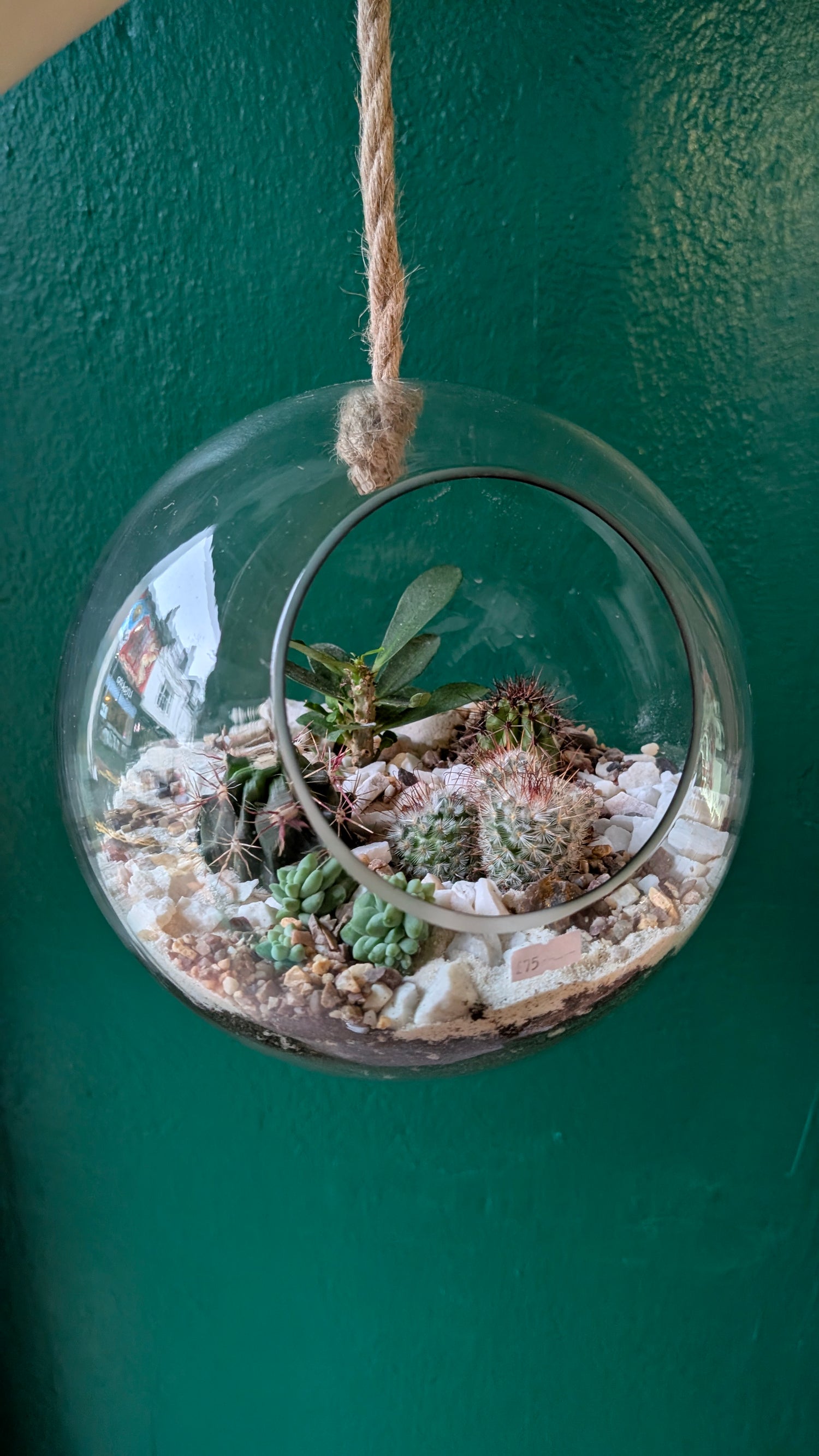 Large Hanging Globe Open Terrarium