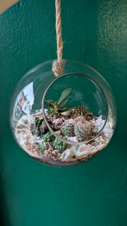 Large Hanging Globe Open Terrarium