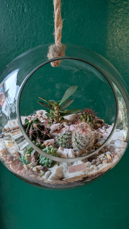Large Hanging Globe Open Terrarium