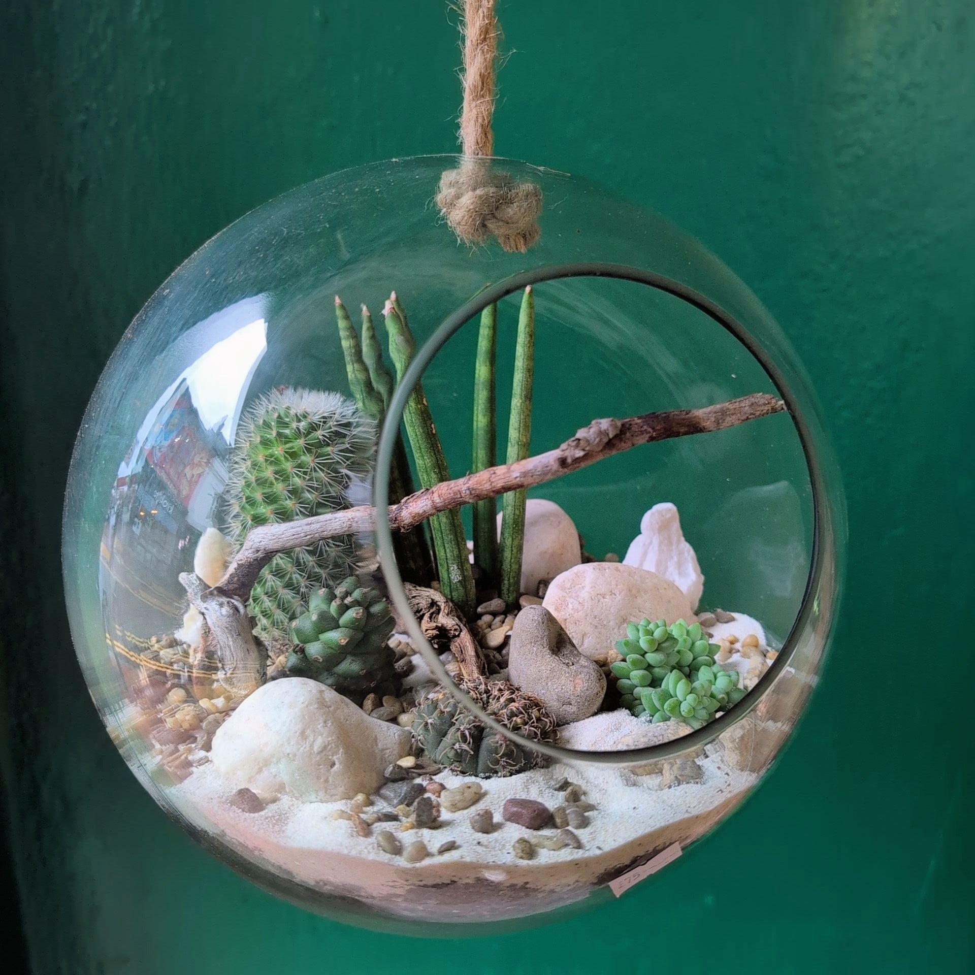 Large Hanging Globe Open Terrarium