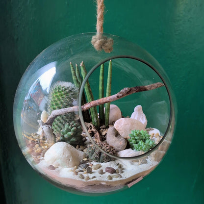 Large Hanging Globe Open Terrarium