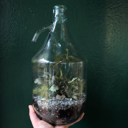 Glass Bottle with Handle Terrarium