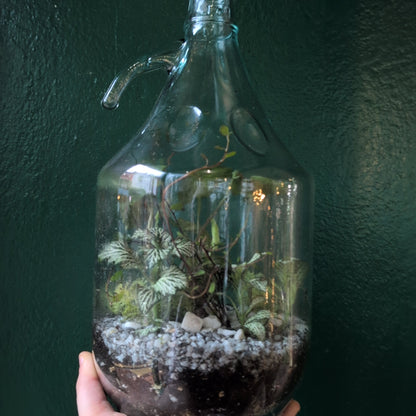 Glass Bottle with Handle Terrarium