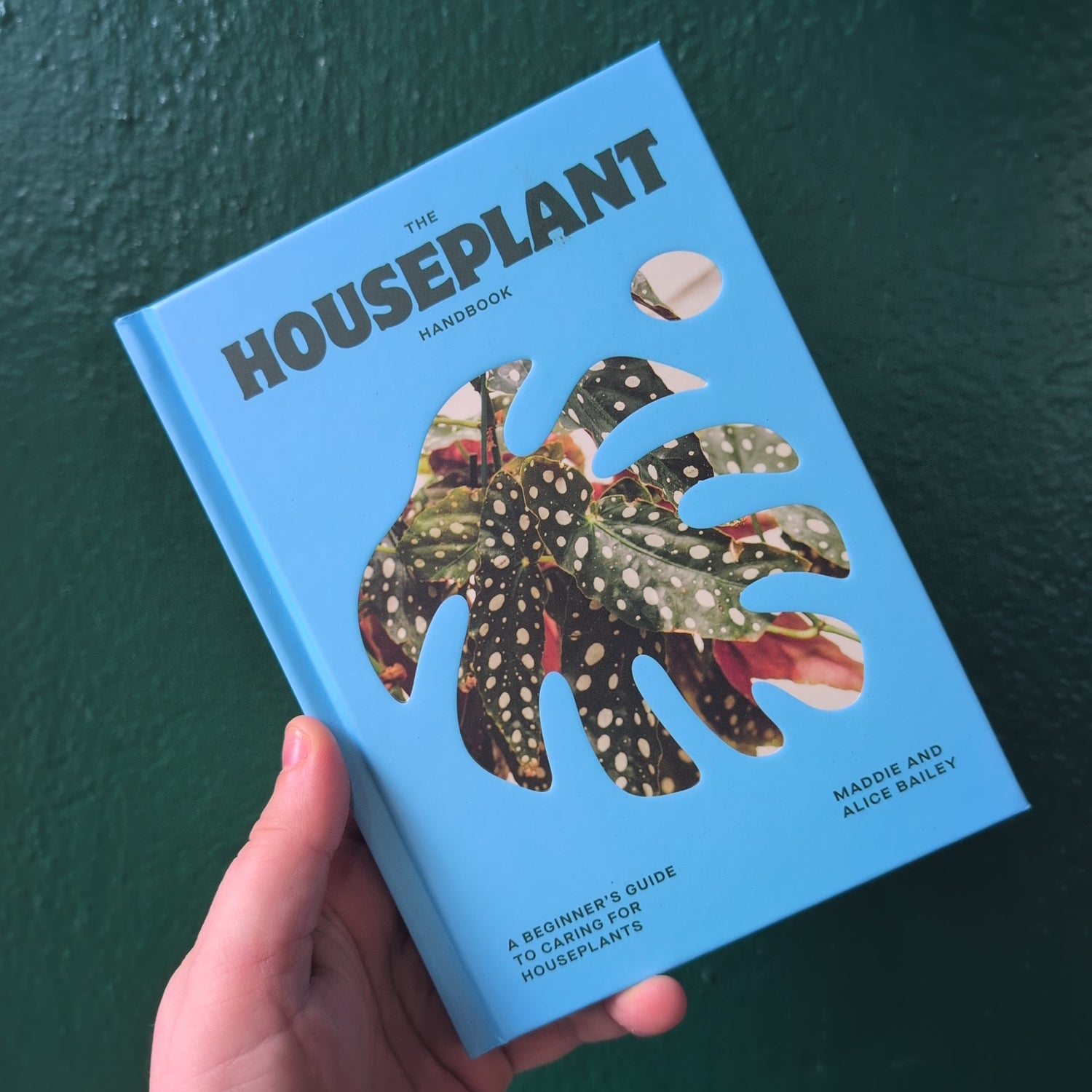 The Houseplant Handbook by Maddie and Alice Bailey