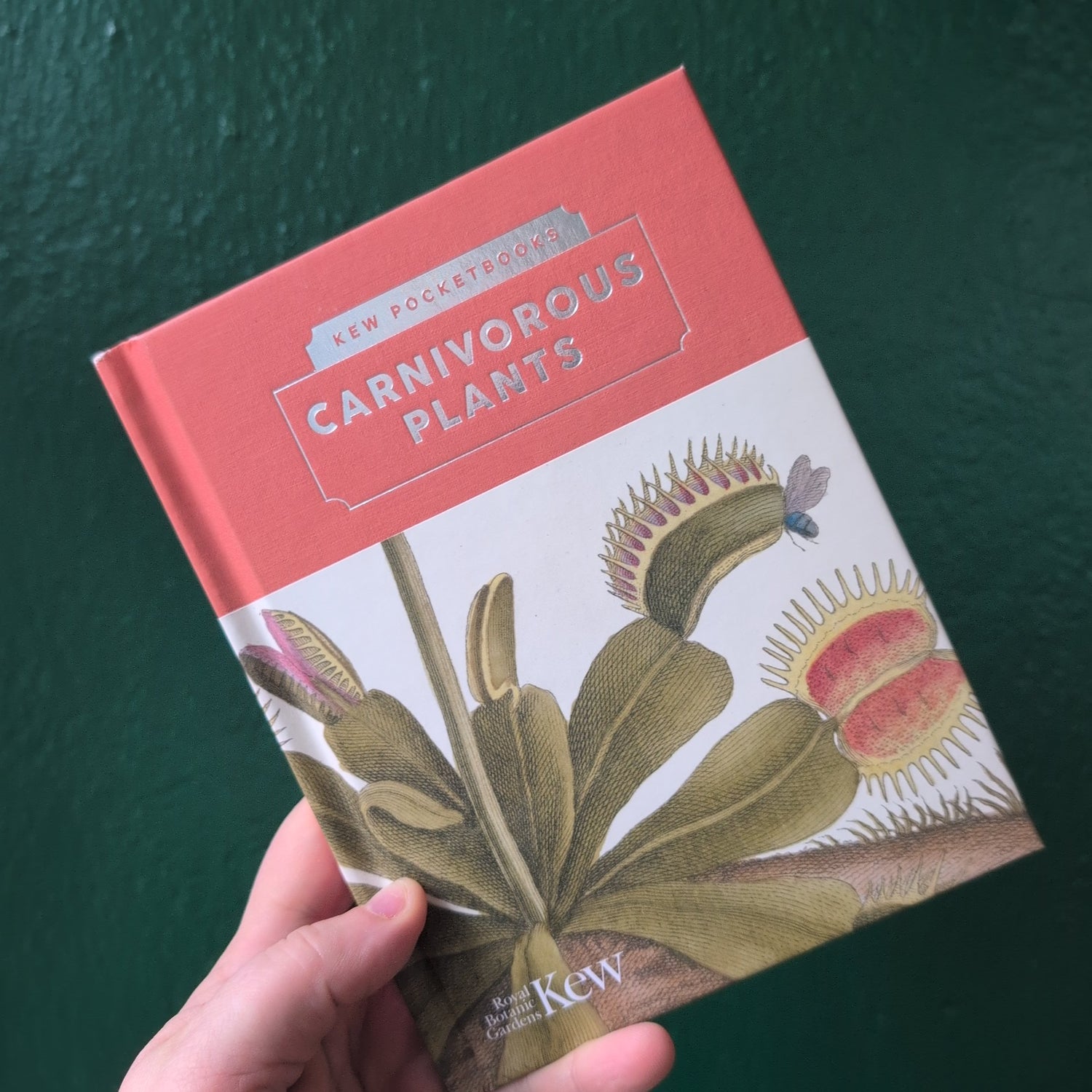 Kew Pocketbooks: Carnivorous Plants