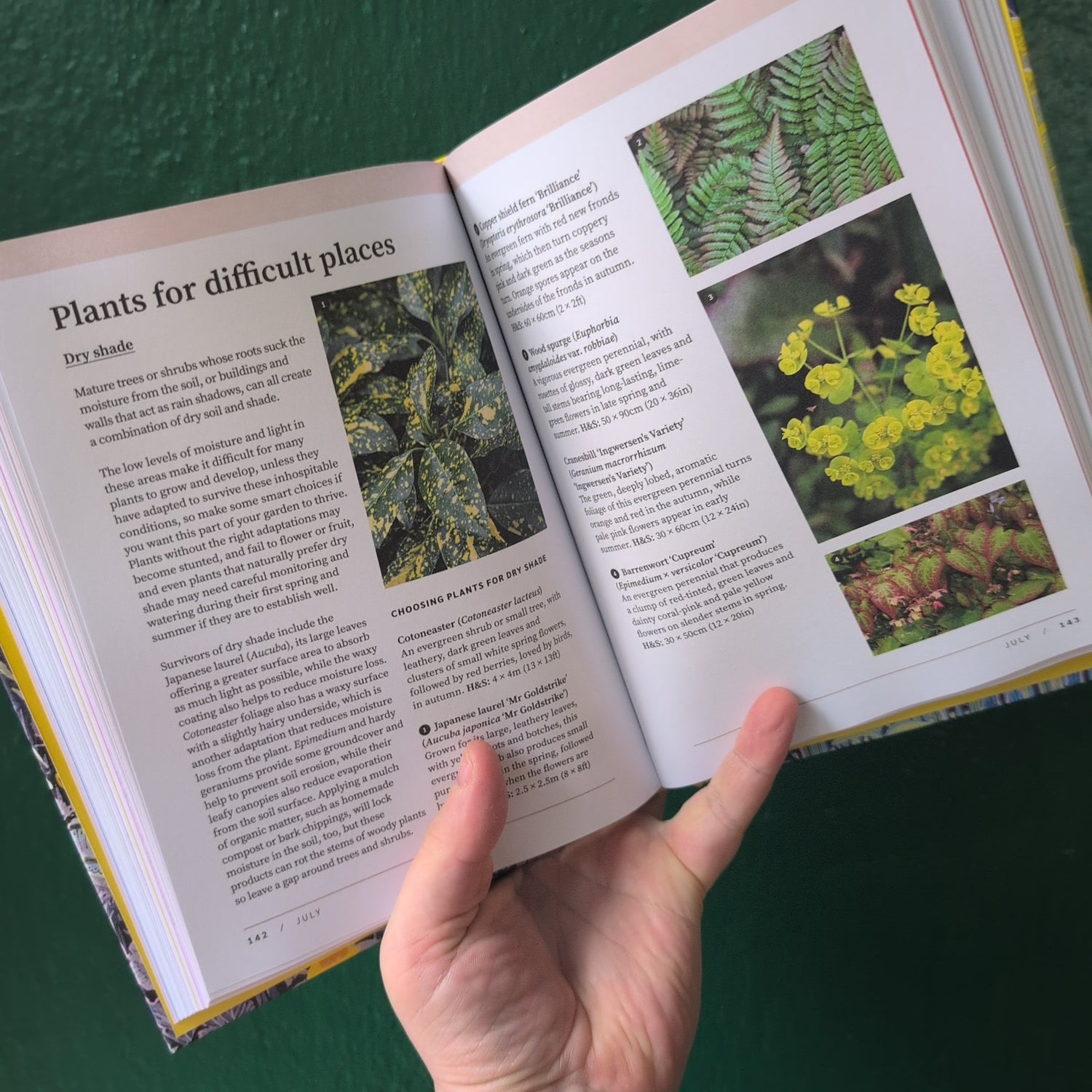 RHS The Garden Almanac 2026