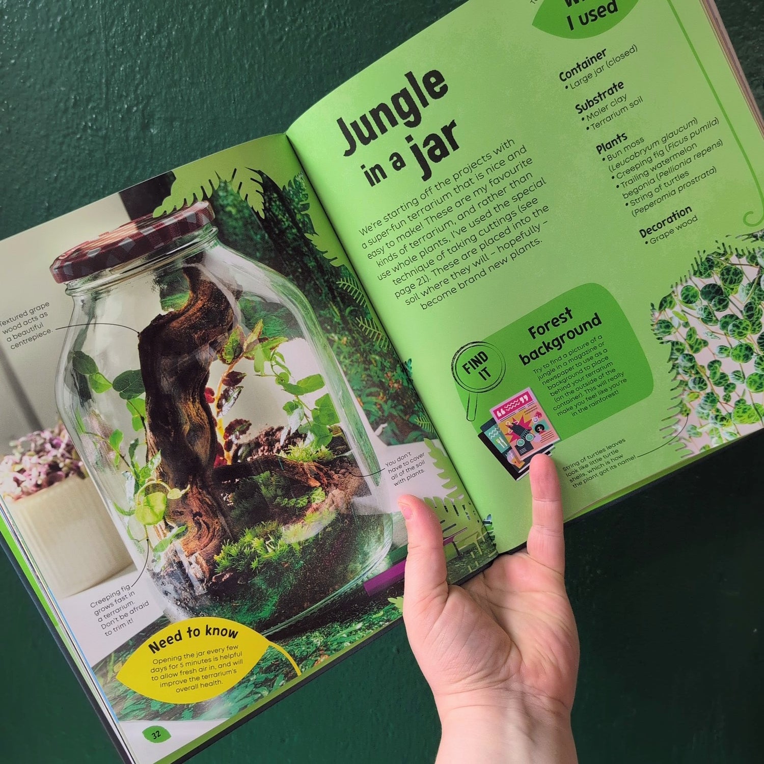 Magical Miniature Worlds Ben Newell