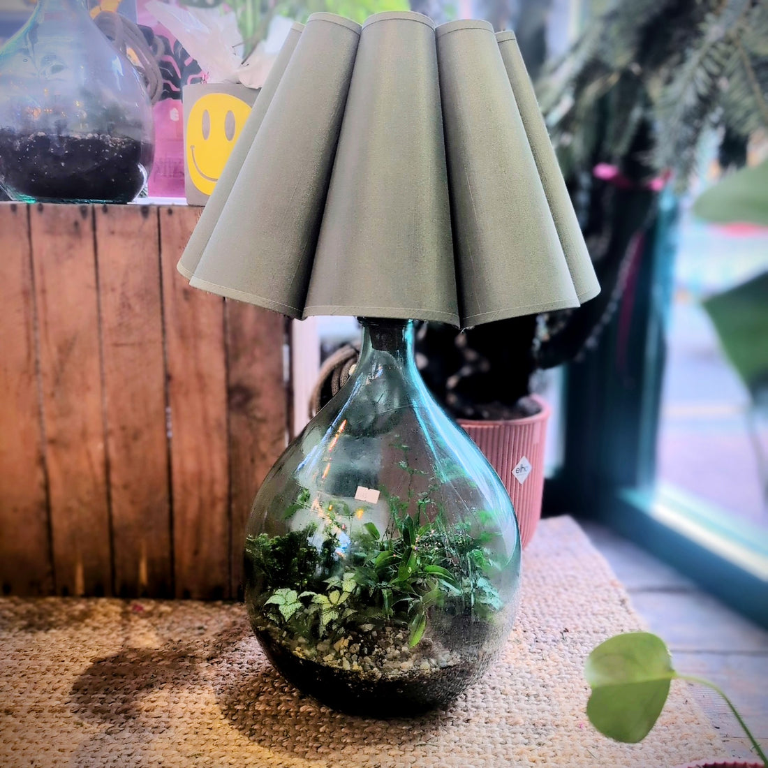 Terrarium Lamp (Various Sizes)