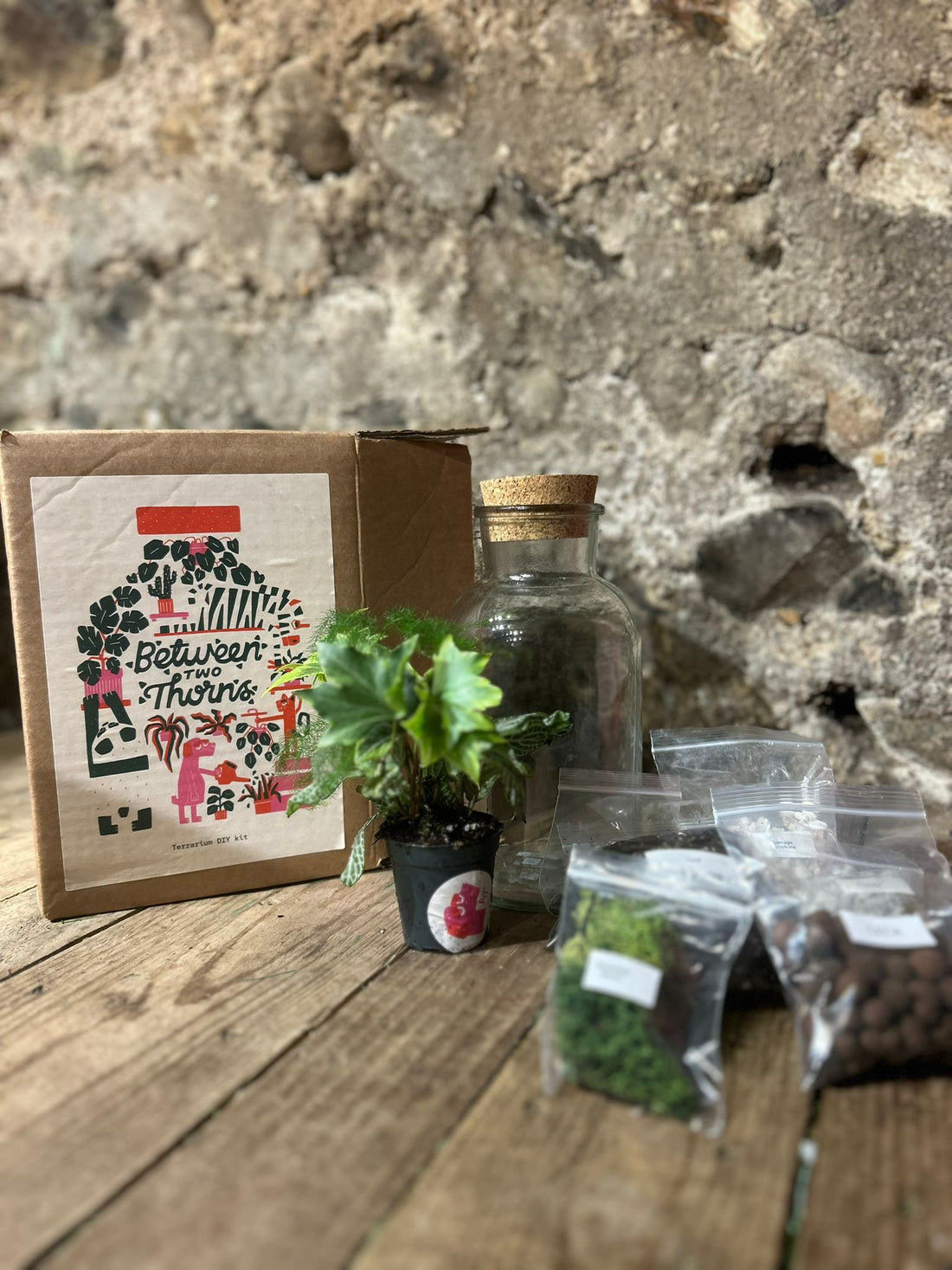 DIY Closed Terrarium Kit - Two Sizes!