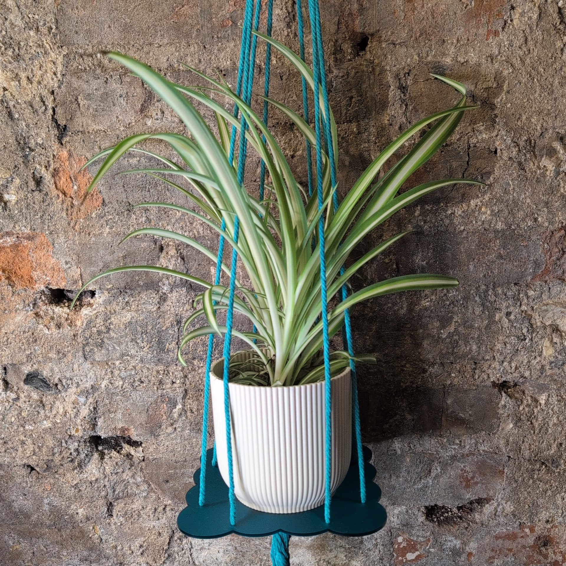 Floral Plant Hanger by Ada Binks