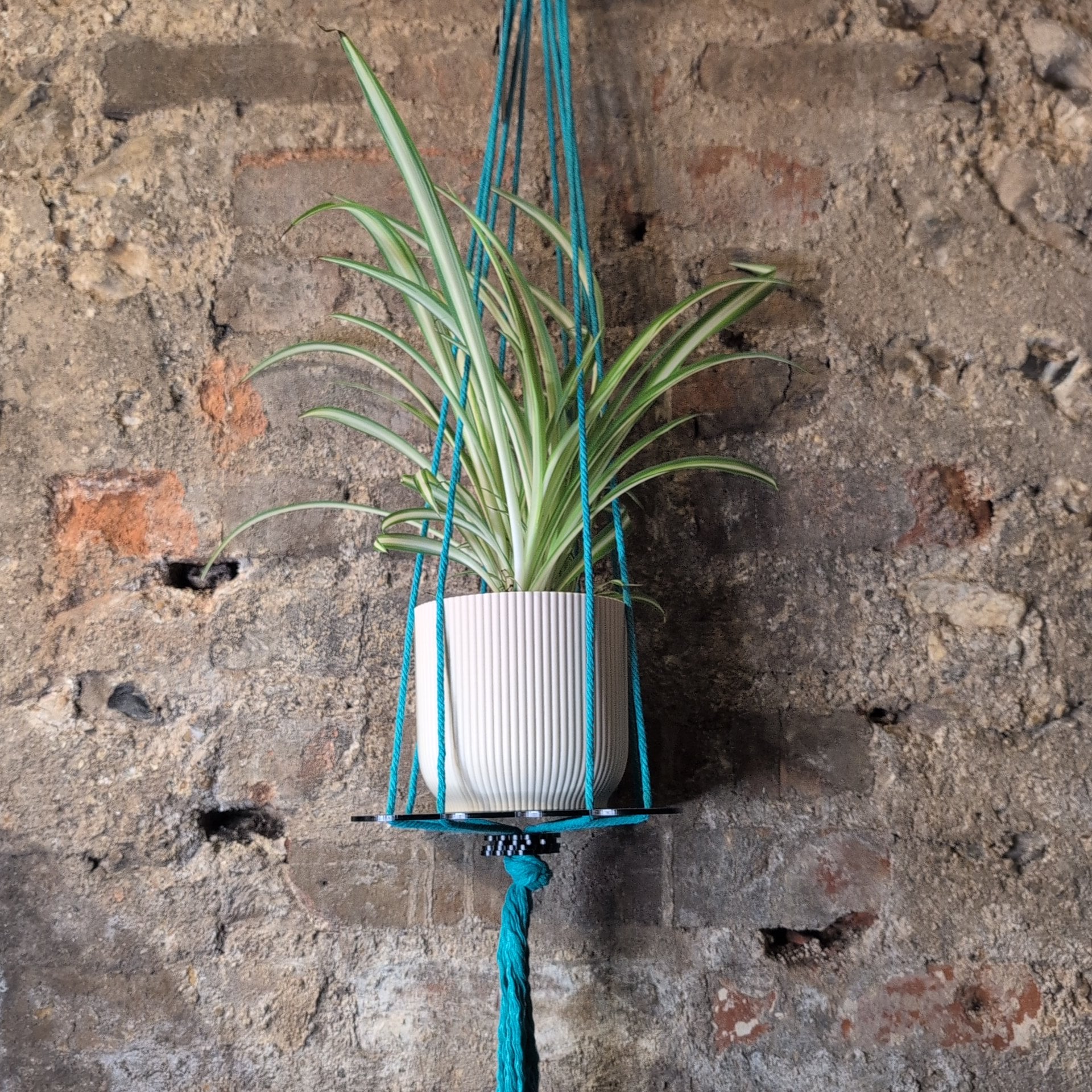 Floral Plant Hanger by Ada Binks