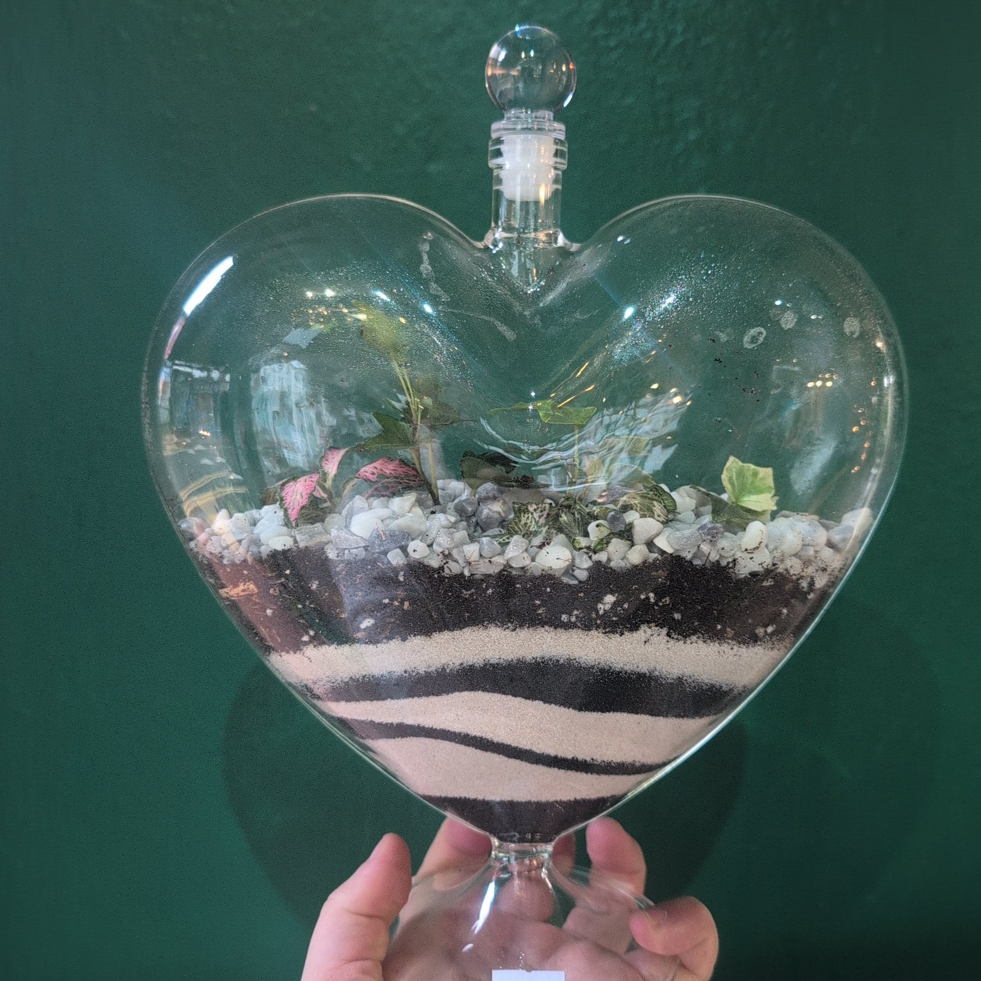 Heart Terrariums