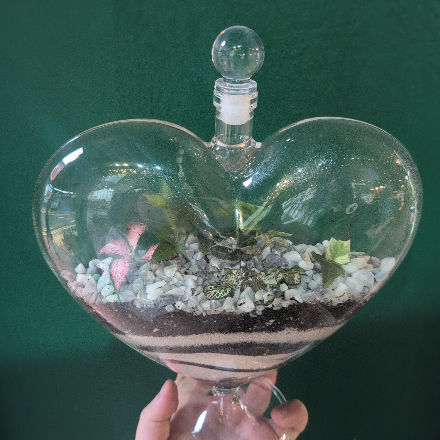 Heart Terrariums
