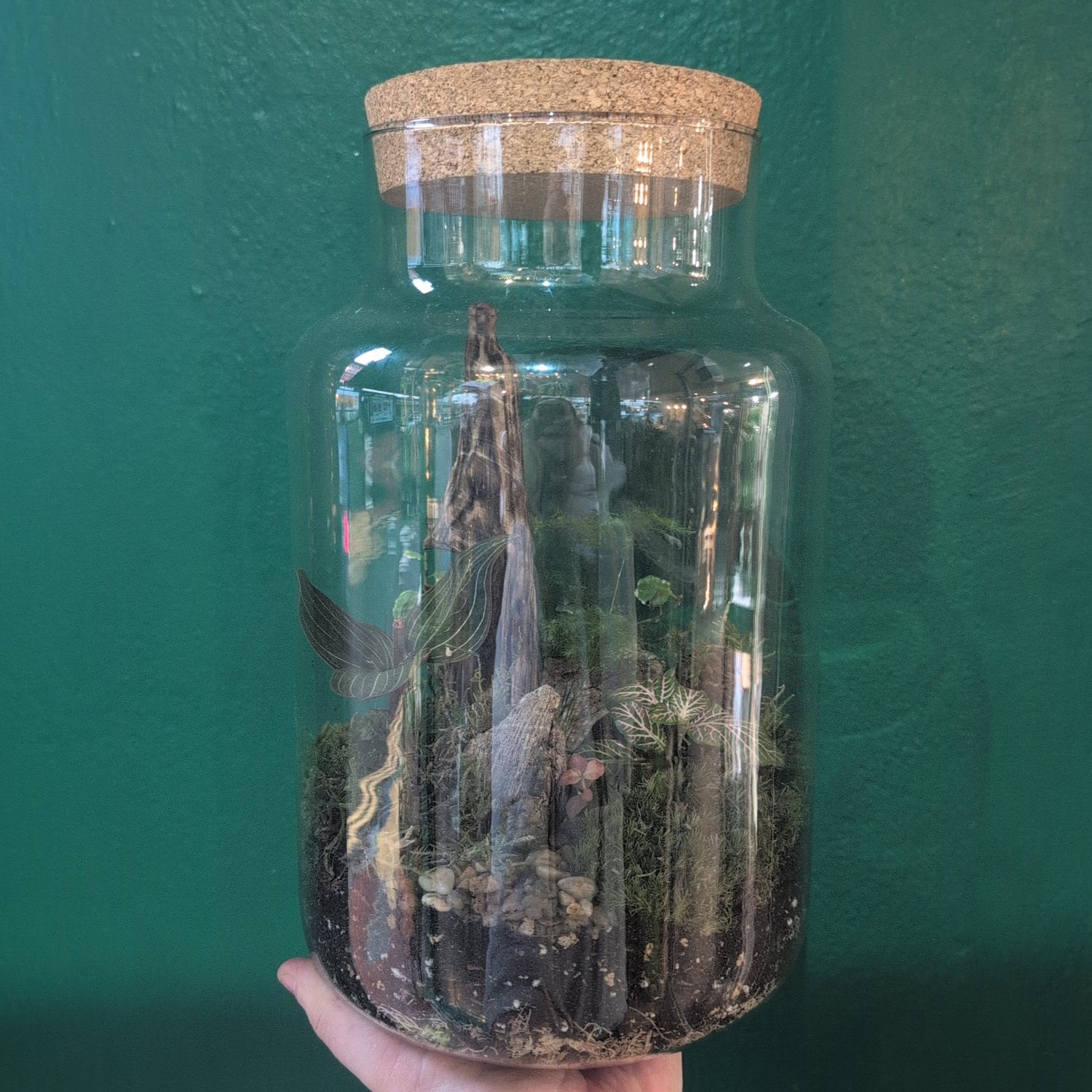 Large Closed Glass Terrarium