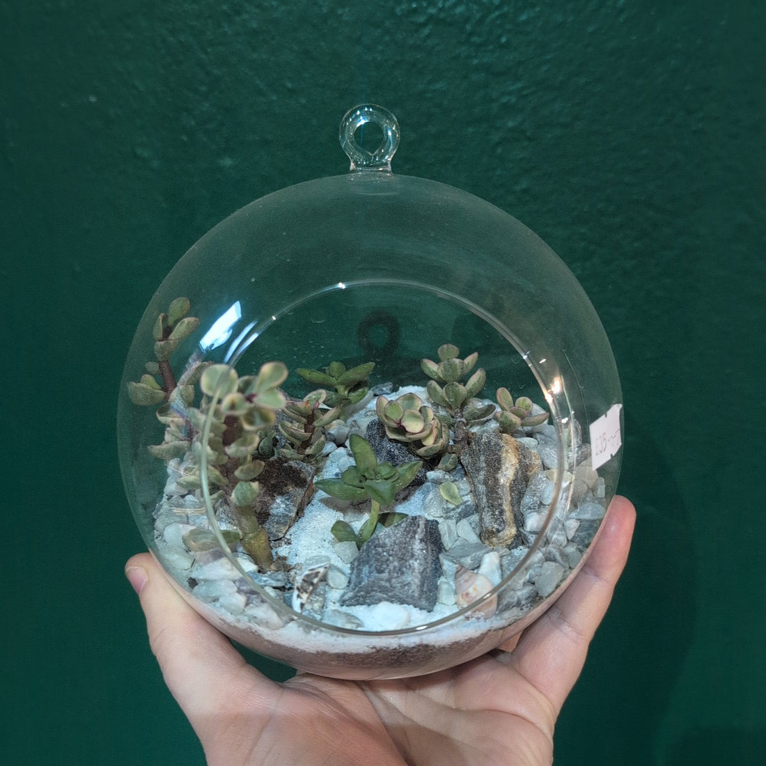 Hanging Globe Open Terrarium