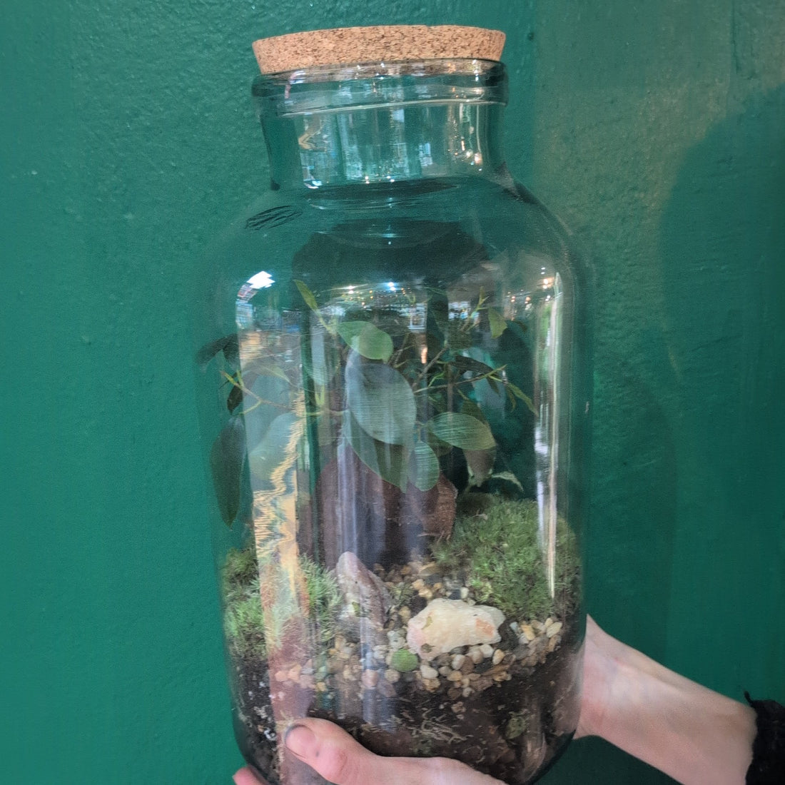Vintage Blue Glass Terrarium