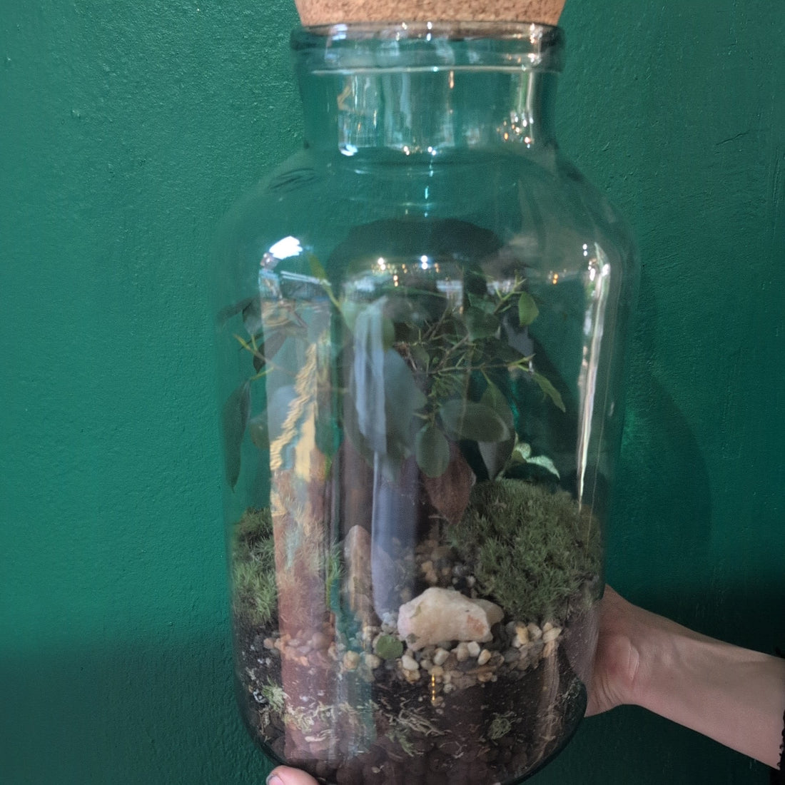 Vintage Blue Glass Terrarium