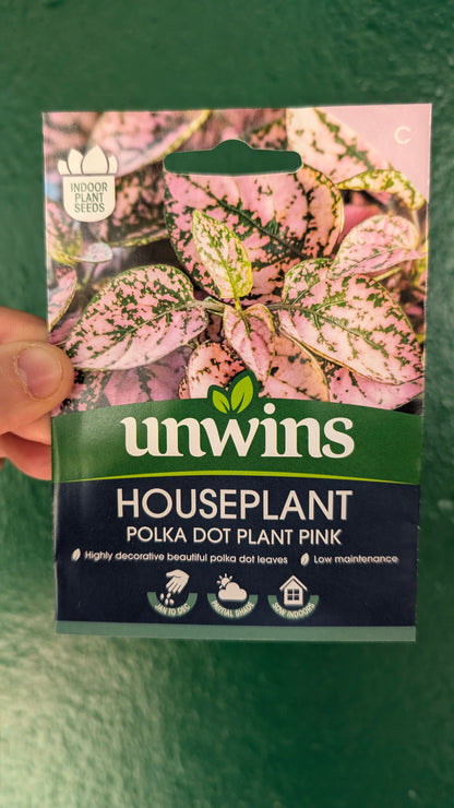 HousePlant Seeds