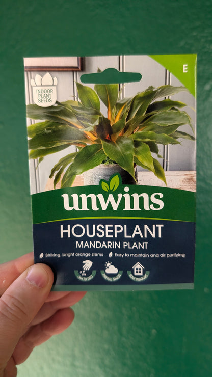 HousePlant Seeds