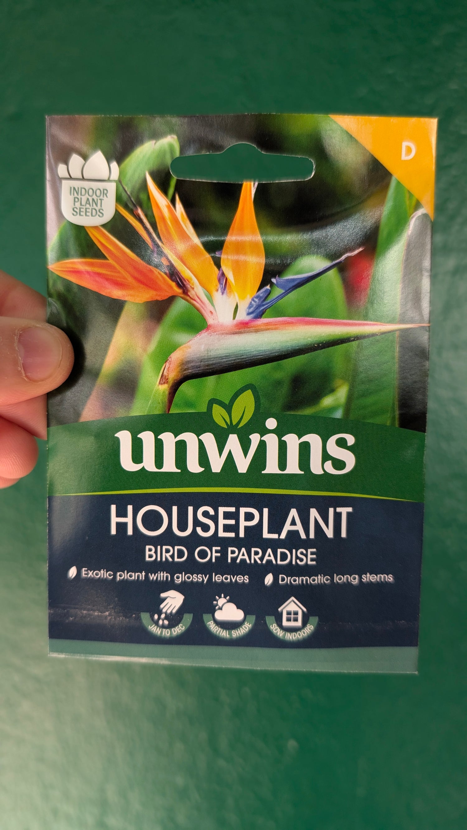 HousePlant Seeds