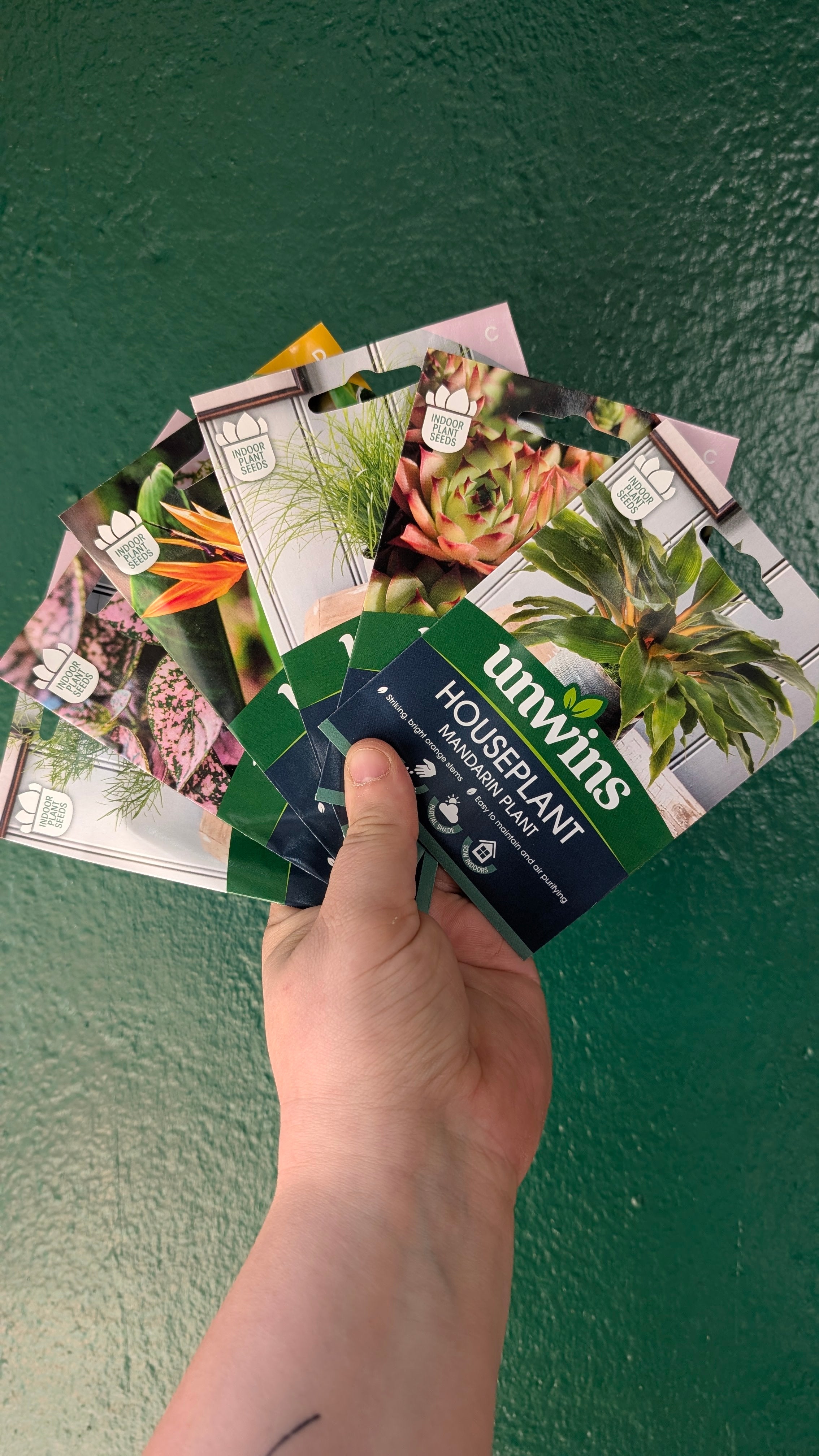 HousePlant Seeds