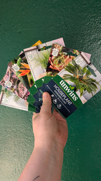 HousePlant Seeds