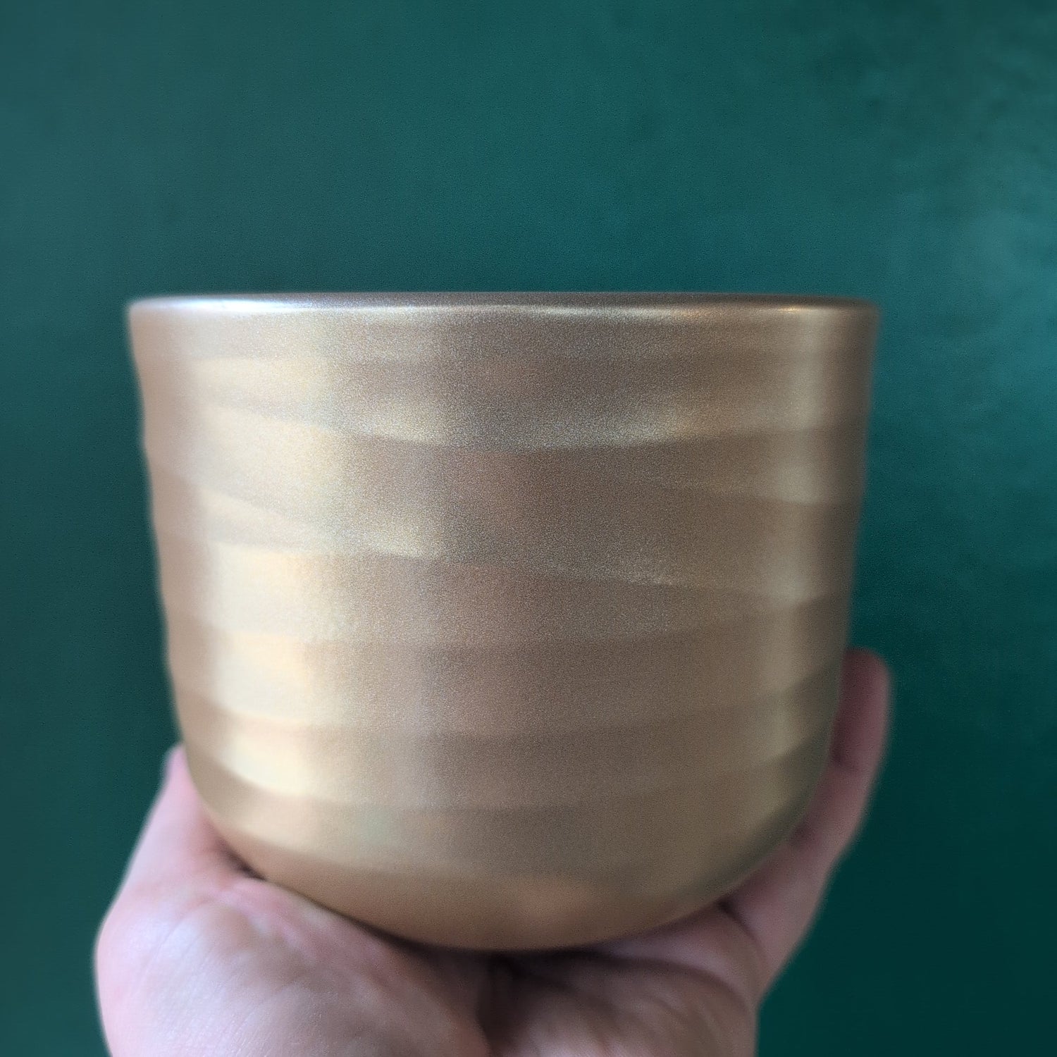 Poinsettia Ripple Pot