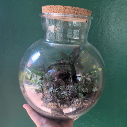 Globe Terrarium -3 Sizes Available