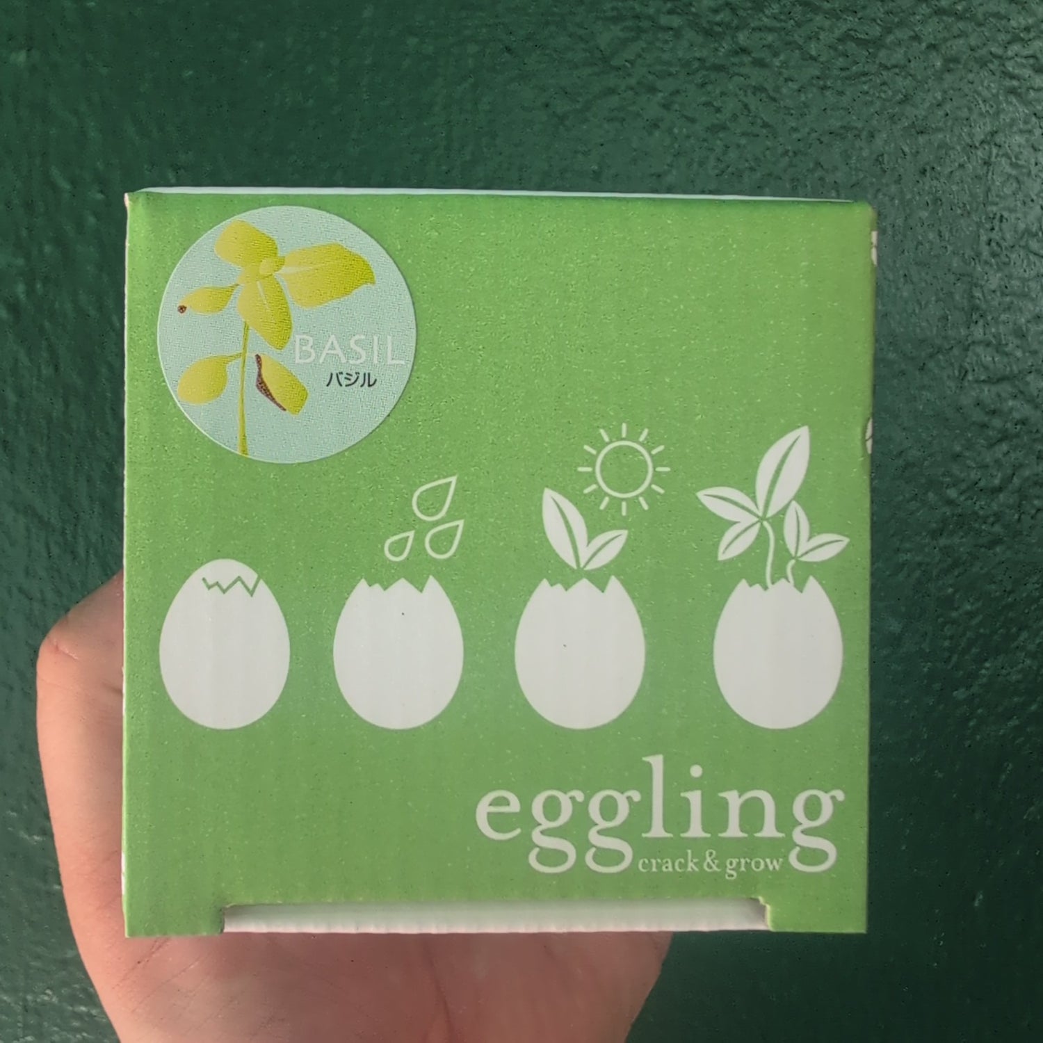 Eggling Crack &amp; Grow – Basil
