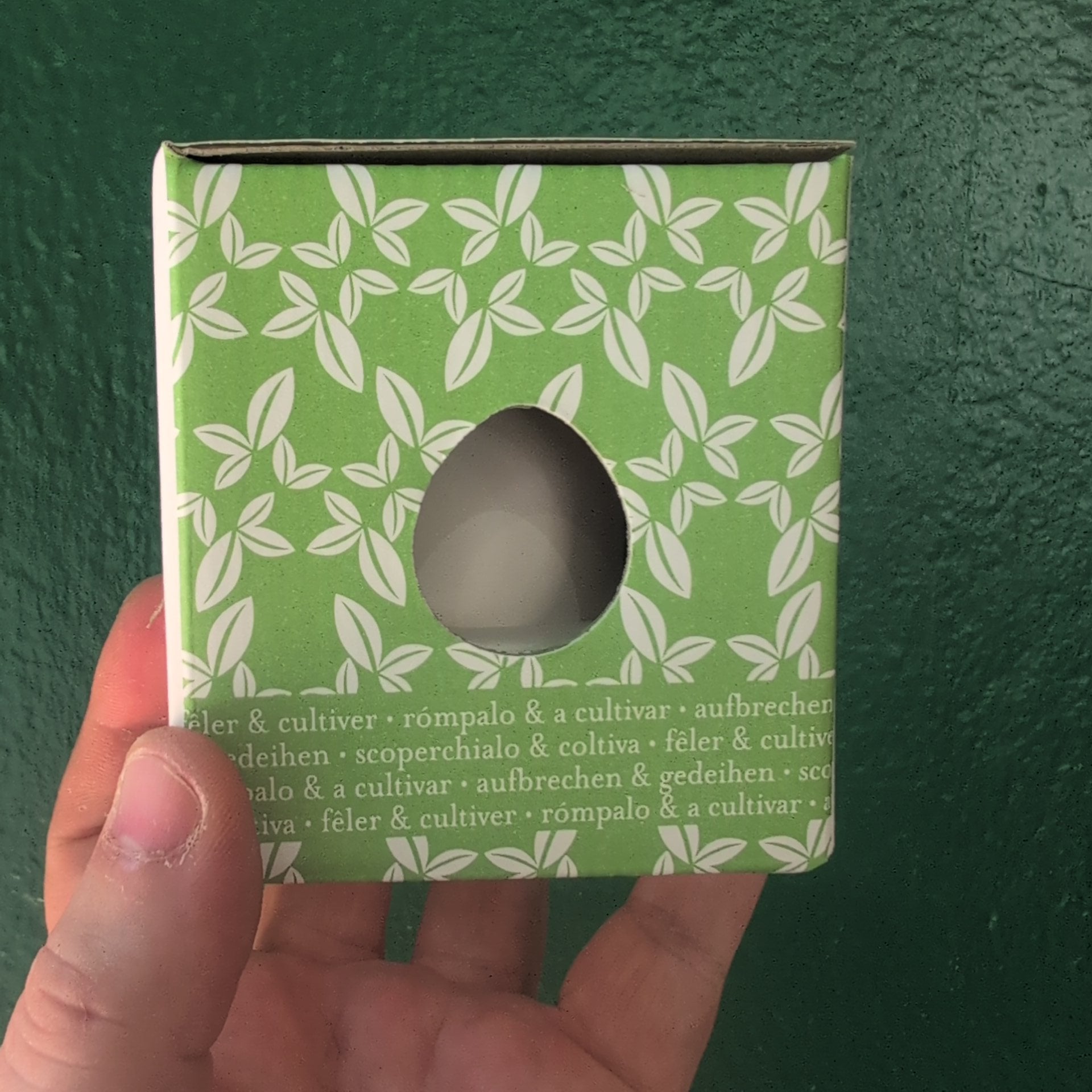 Eggling Crack &amp; Grow – Basil