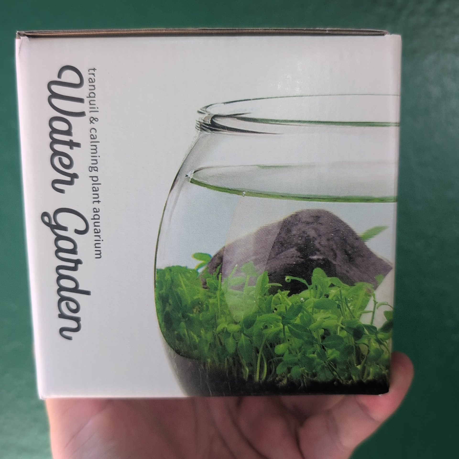Water Garden Zen Plant Aquarium Kit