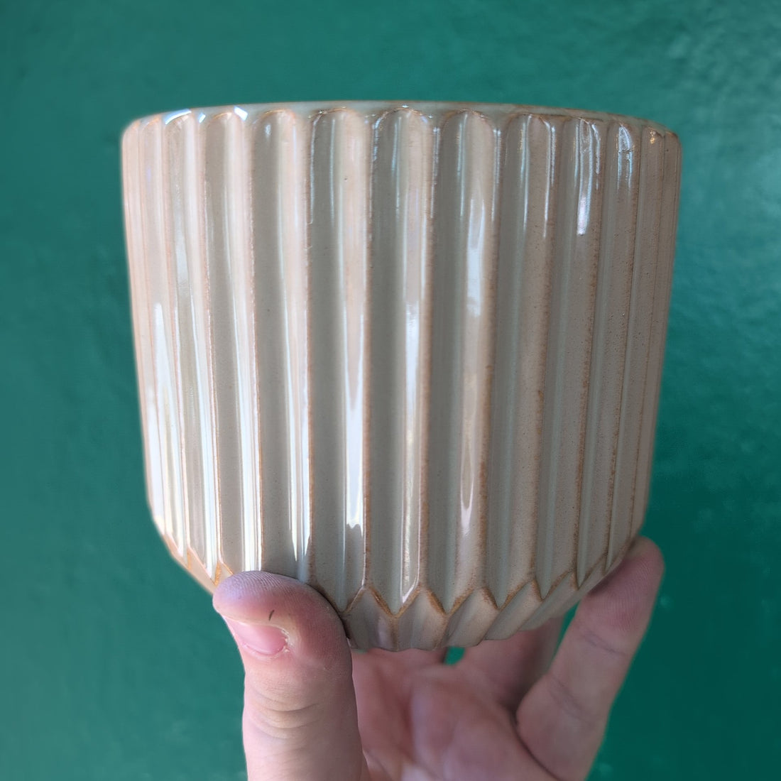 Willow Ribbed Sepia Pot